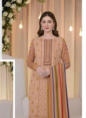 3 Piece - Printed B 213
